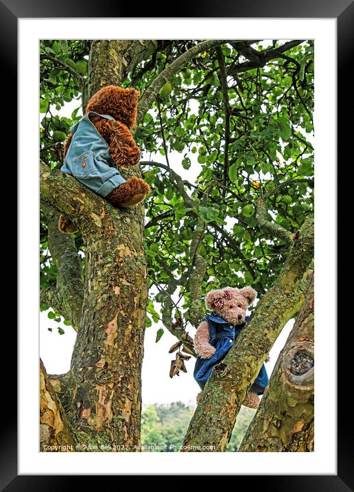Two Teddy Bears in an Apple Tree Framed Mounted Print by Allan Bell