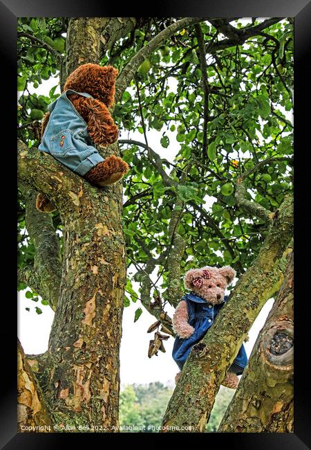 Two Teddy Bears in an Apple Tree Framed Print by Allan Bell