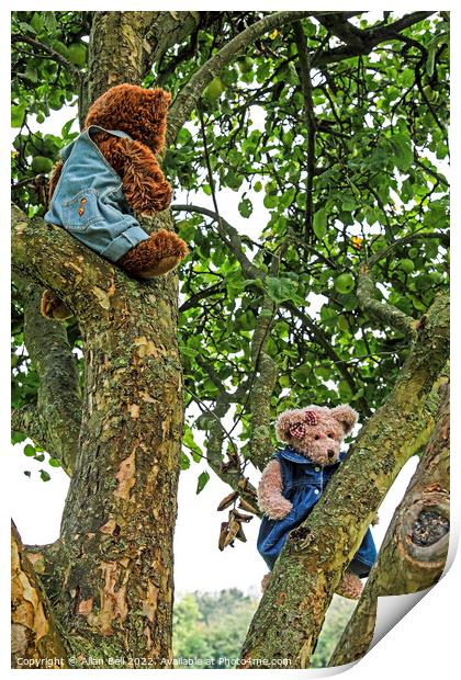 Two Teddy Bears in an Apple Tree Print by Allan Bell