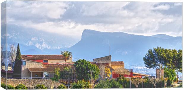The Foothills Of Mallorca Canvas Print by Peter F Hunt