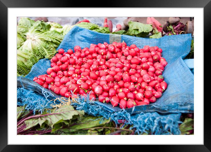 Freshly picked radishes for sale - Casablanca Framed Mounted Print by Gordon Dixon