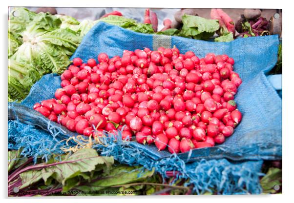 Freshly picked radishes for sale - Casablanca Acrylic by Gordon Dixon