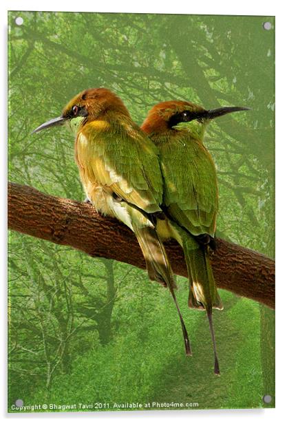 Green Bee-eater Acrylic by Bhagwat Tavri