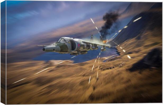 Harrier Hunting Canvas Print by J Biggadike