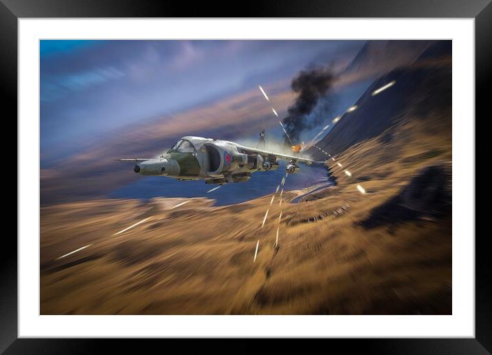Harrier Hunting Framed Mounted Print by J Biggadike