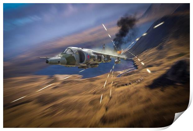 Harrier Hunting Print by J Biggadike