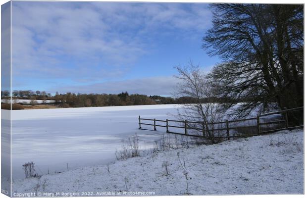 Frozen Loch  Canvas Print by Mary M Rodgers