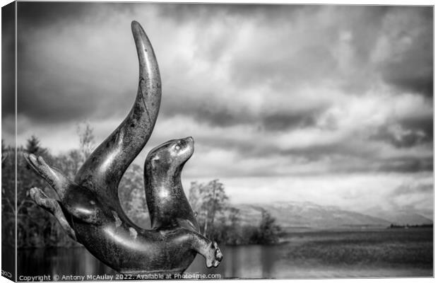 Scotland Sea Life Centre Loch Lomond Otter Statue BW Canvas Print by Antony McAulay