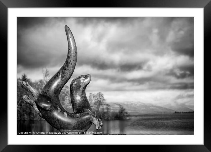 Scotland Sea Life Centre Loch Lomond Otter Statue BW Framed Mounted Print by Antony McAulay