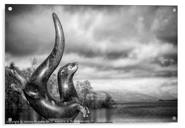 Scotland Sea Life Centre Loch Lomond Otter Statue BW Acrylic by Antony McAulay