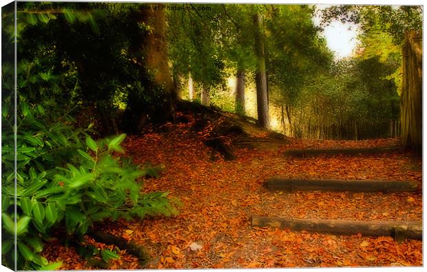 Autumn's  Golden Woodland Pathway Canvas Print by Peter Blunn