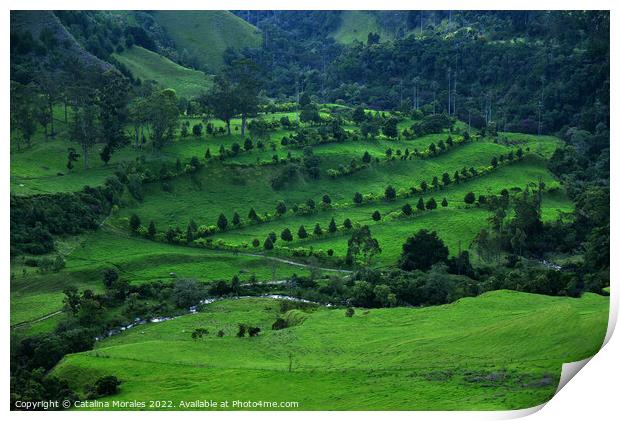 Colombia, Landscape in greens Print by Catalina Morales