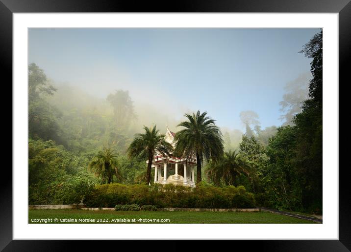 Buddhist shrine in the morning fog Framed Mounted Print by Catalina Morales