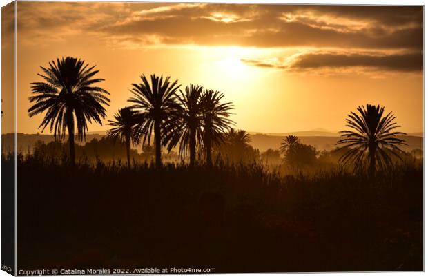 Arabian Sunset with Palms Canvas Print by Catalina Morales