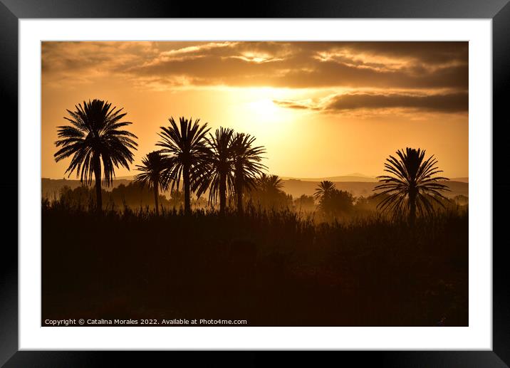 Arabian Sunset with Palms Framed Mounted Print by Catalina Morales