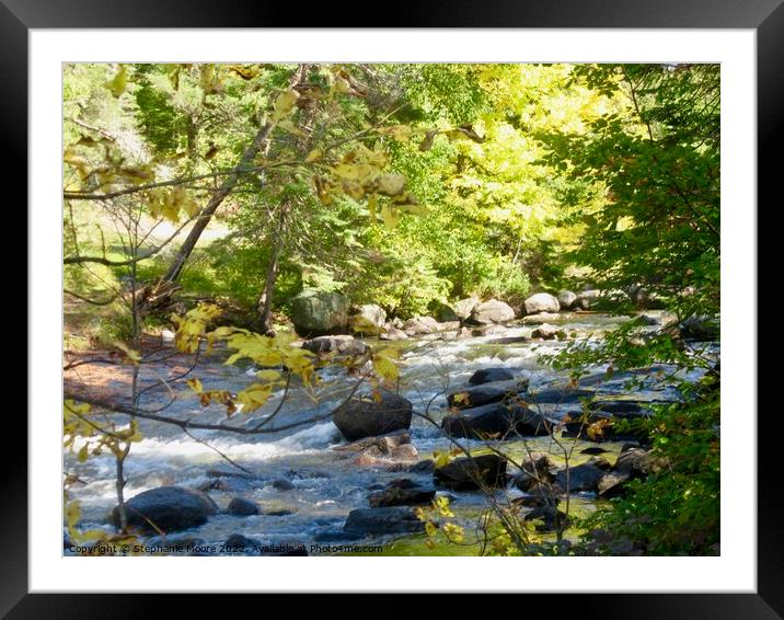 Rushing River Framed Mounted Print by Stephanie Moore