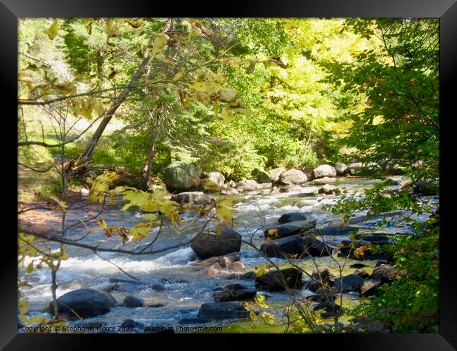Rushing River Framed Print by Stephanie Moore