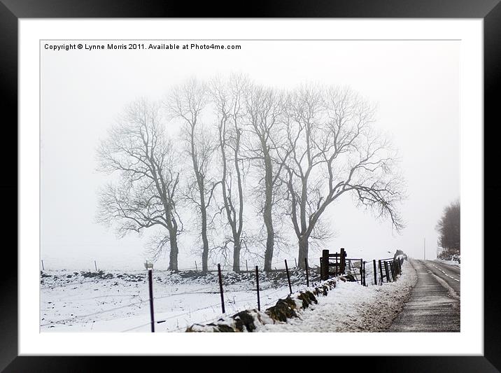 A Winter Morning Framed Mounted Print by Lynne Morris (Lswpp)