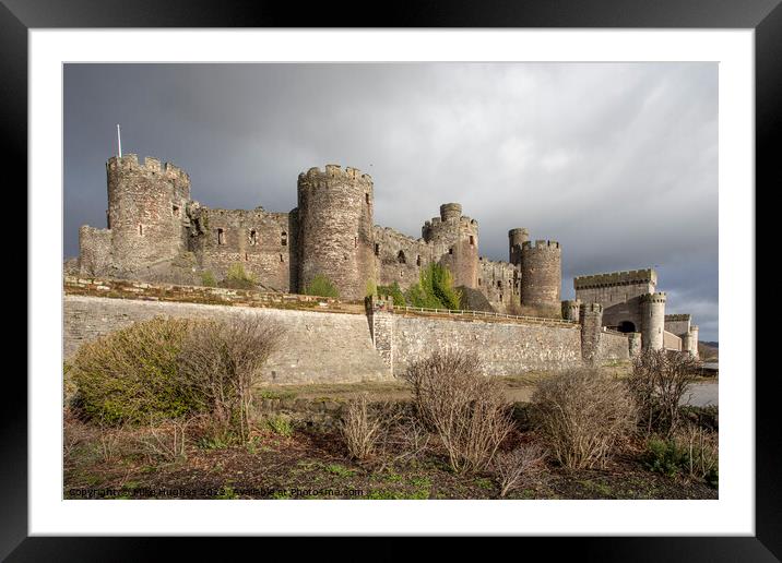 Conwy Castle on the estuary Framed Mounted Print by Mike Hughes