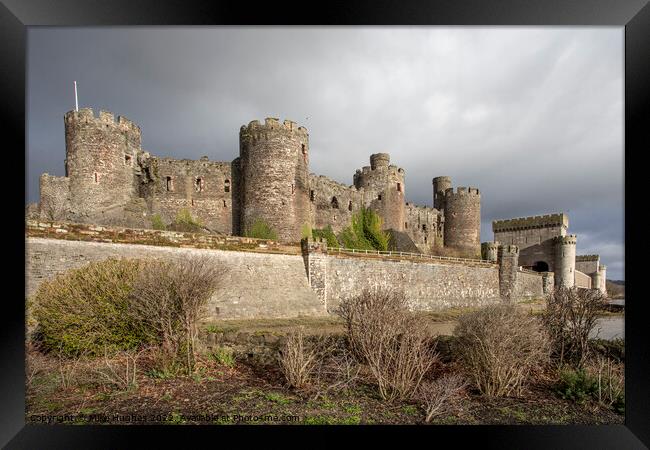Conwy Castle on the estuary Framed Print by Mike Hughes