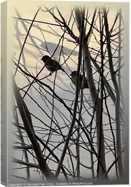 The morning birds Canvas Print by Marinela Feier