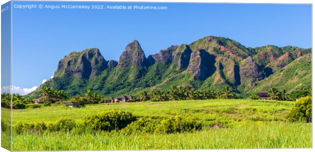 Kalalea Mountains Hawaii panoramic Canvas Print by Angus McComiskey
