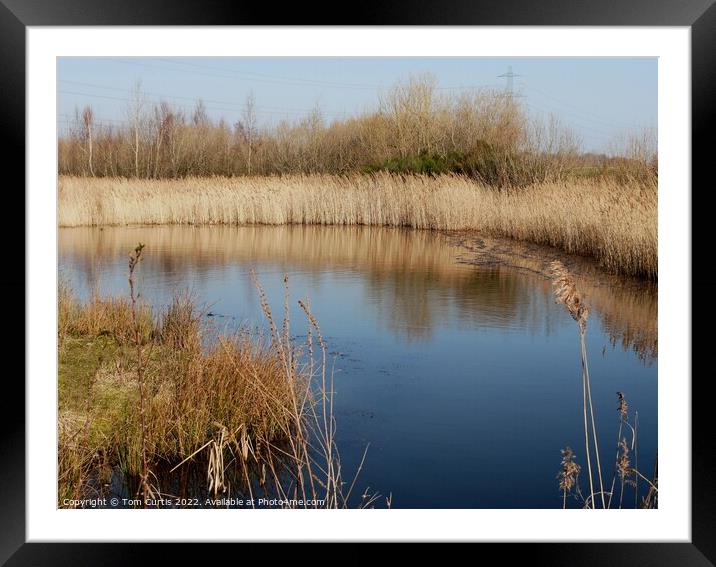 Outdoor waterside Framed Mounted Print by Tom Curtis