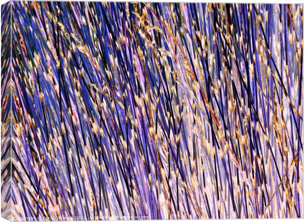 Lavender stick bush textured abstract Canvas Print by Errol D'Souza