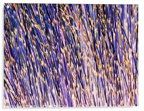 Lavender stick bush textured abstract Acrylic by Errol D'Souza