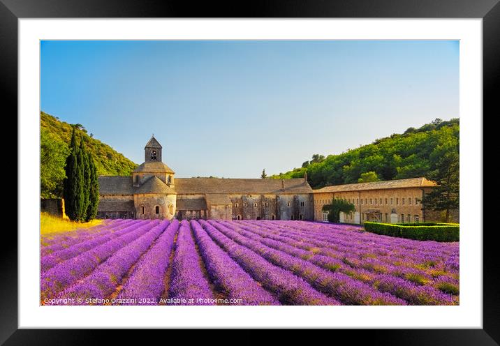 Abbey of Senanque and lavender flowers. Gordes, France Framed Mounted Print by Stefano Orazzini