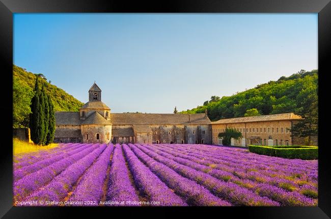 Abbey of Senanque and lavender flowers. Gordes, France Framed Print by Stefano Orazzini