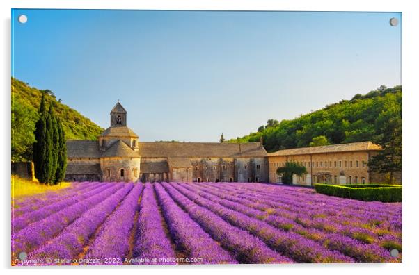 Abbey of Senanque and lavender flowers. Gordes, France Acrylic by Stefano Orazzini