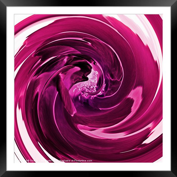 Raspberry swirl Framed Mounted Print by Sharon Lisa Clarke