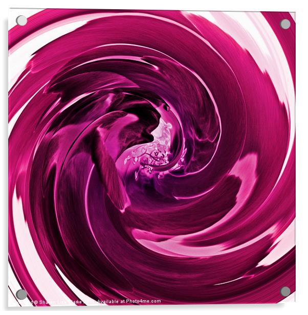 Raspberry swirl Acrylic by Sharon Lisa Clarke