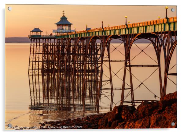 Clevedon Pier at low tide Acrylic by Rory Hailes