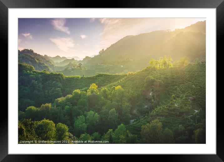 Prosecco Hills hogback, vineyards at sunset. Veneto, Italy Framed Mounted Print by Stefano Orazzini