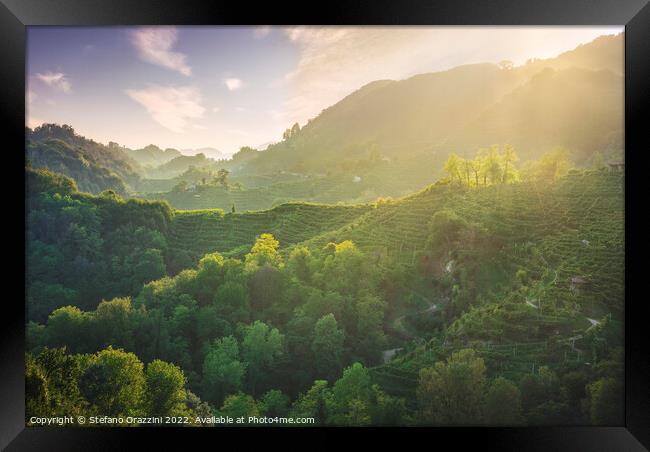 Prosecco Hills hogback, vineyards at sunset. Veneto, Italy Framed Print by Stefano Orazzini