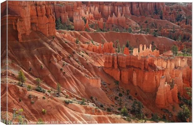 Glowing Hoodoos Canvas Print by Donna Kennedy