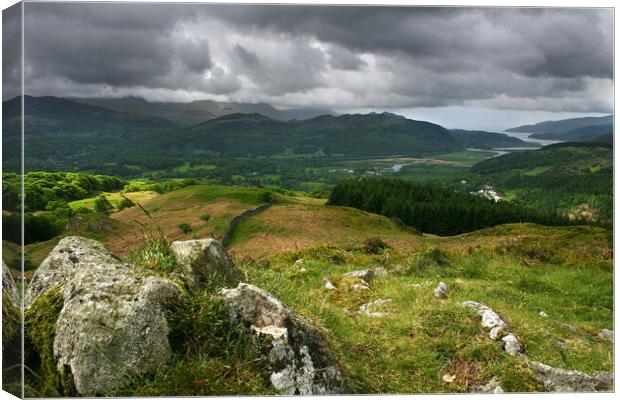 The Mawddach Estuary Viewed From Precipice Walk Canvas Print by Dave Urwin