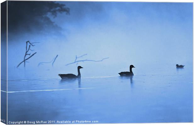 Geese in the mist Canvas Print by Doug McRae