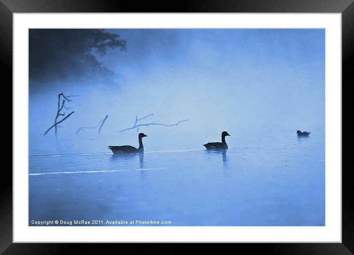 Geese in the mist Framed Mounted Print by Doug McRae