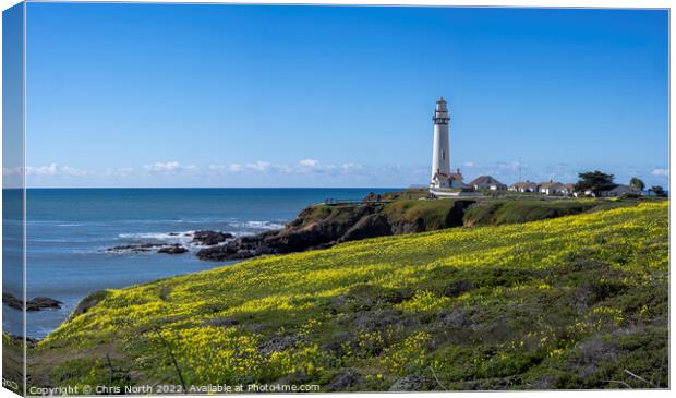 Lighthouse California, USA. Canvas Print by Chris North