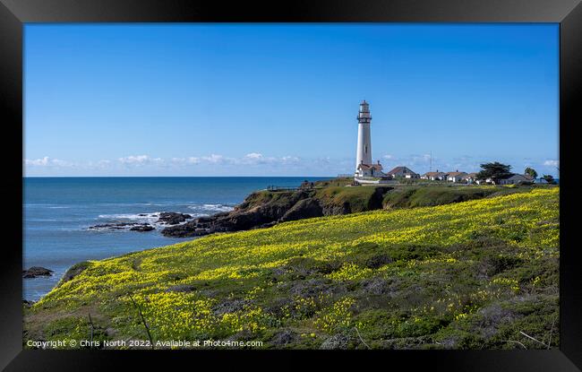 Lighthouse California, USA. Framed Print by Chris North