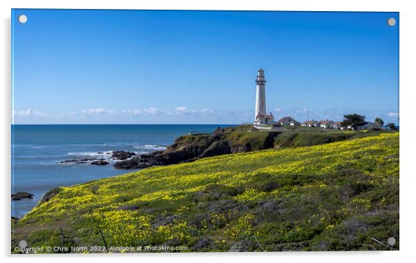 Lighthouse California, USA. Acrylic by Chris North