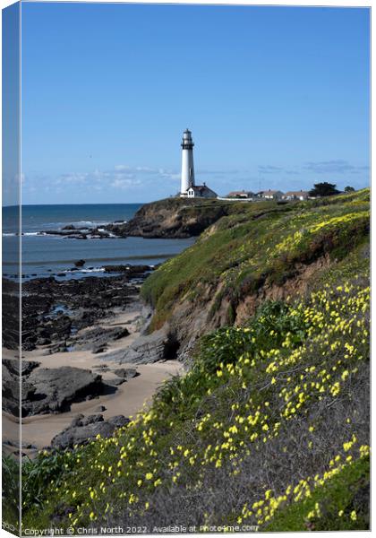 Lighthouse California, USA. Canvas Print by Chris North