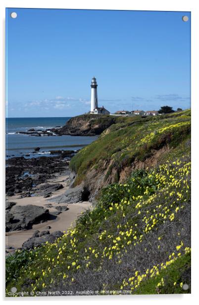 Lighthouse California, USA. Acrylic by Chris North