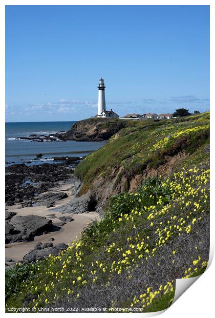 Lighthouse California, USA. Print by Chris North