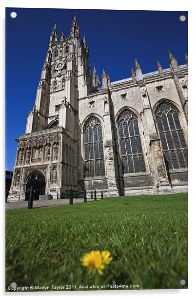 Canterbury Cathedral Acrylic by Martyn Taylor