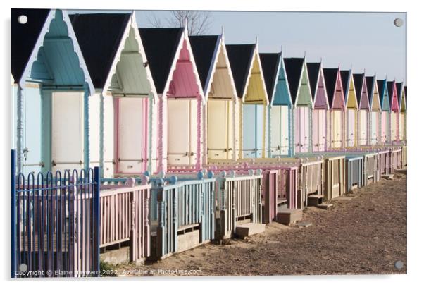 West Mersea beach huts Acrylic by Elaine Hayward