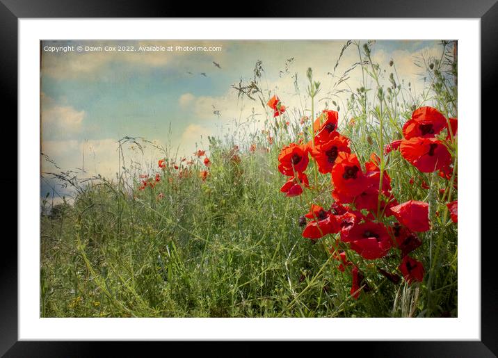 Poppy field Framed Mounted Print by Dawn Cox